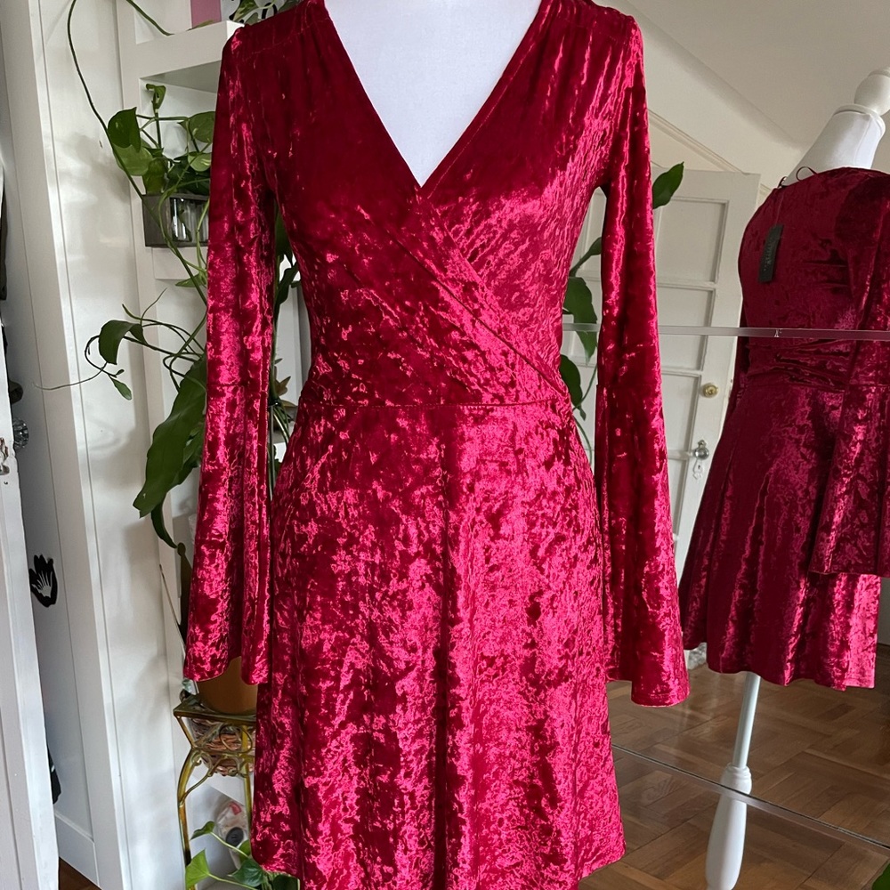 STREETWEAR SOCIETY MINI VELVET DRESS 🌹